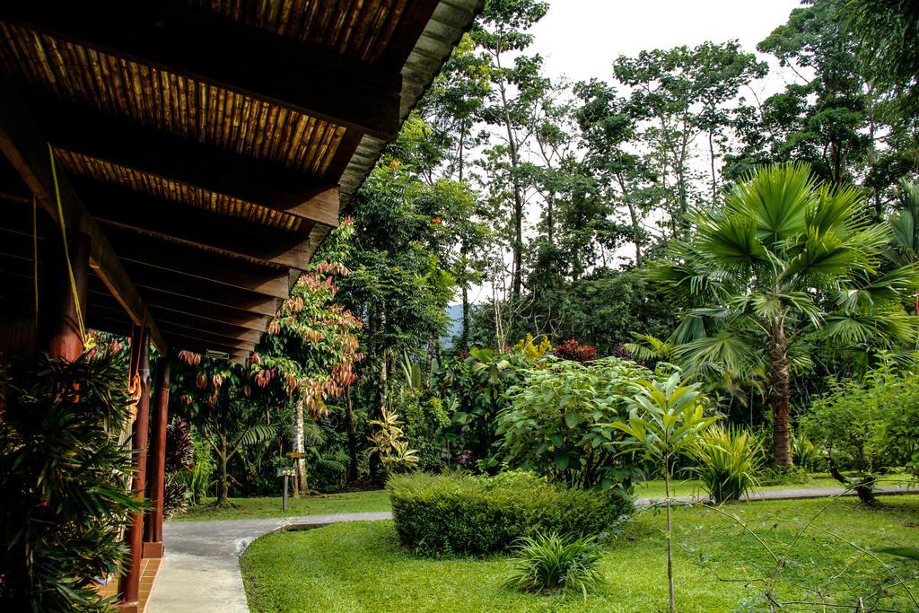 Catarata Eco Lodge Ла Фортуна Экстерьер фото