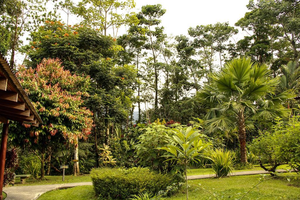 Catarata Eco Lodge Ла Фортуна Экстерьер фото