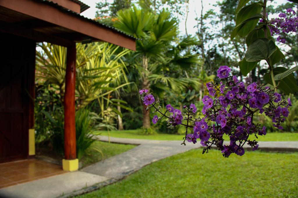Catarata Eco Lodge Ла Фортуна Экстерьер фото